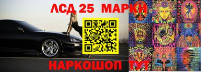 молекула духа Гатчина