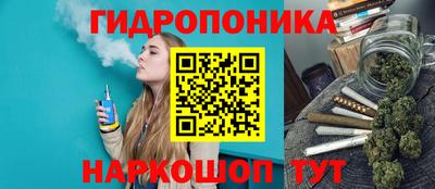 apvp Гай